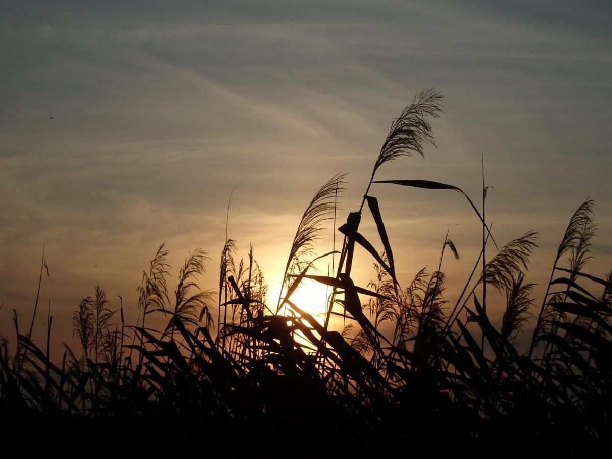 Krakowskie Mazury Gradzkie  Exteriér fotografie