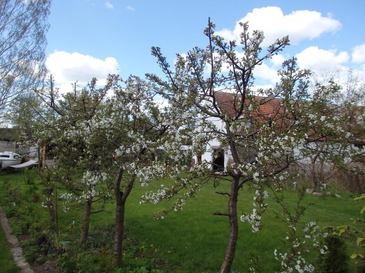 Krakowskie Mazury Gradzkie  Exteriér fotografie