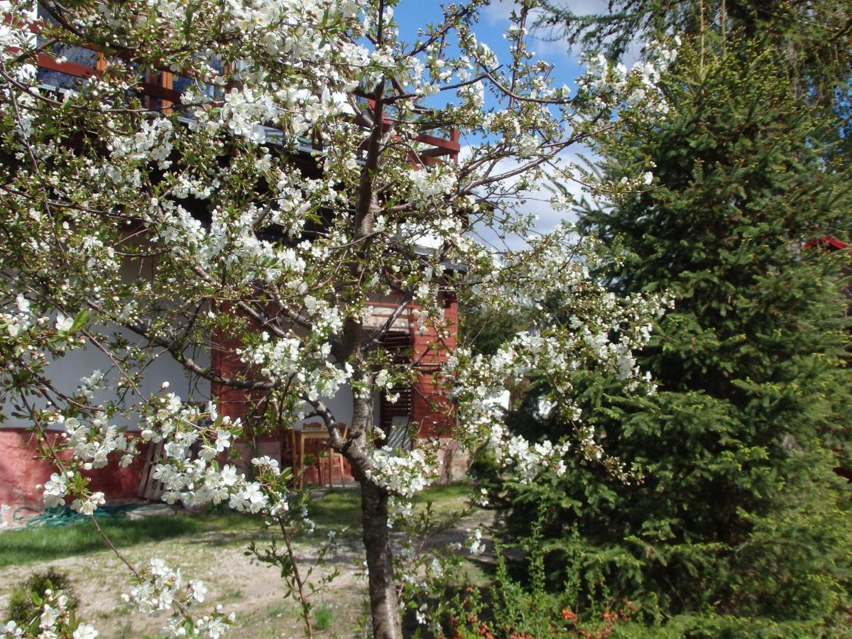 Krakowskie Mazury Gradzkie  Exteriér fotografie